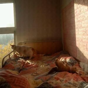 我们总是在寻找