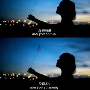 善变 (抖音DJ女版)