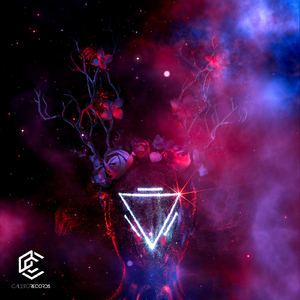 Victory (Carles Remix)