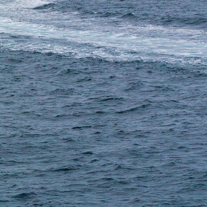 用单图实况定格生活瞬间