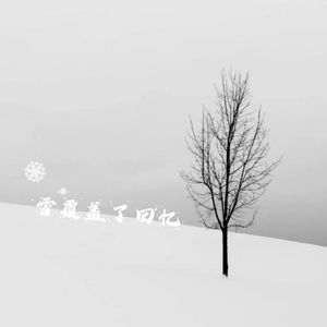 雪覆盖了回忆