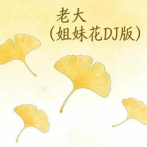 老大（姐妹花DJ版）