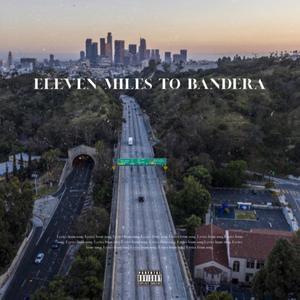 Government Assistance