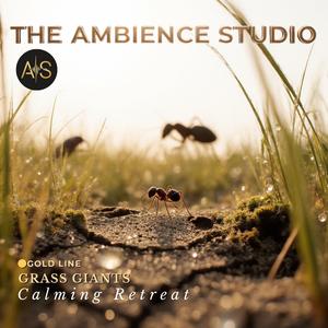 White Blossoms in Slow Motion