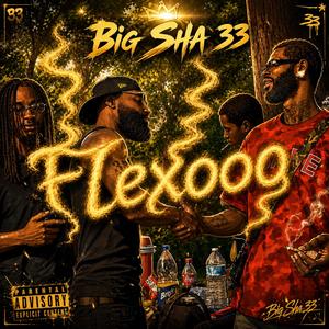 Flexooo