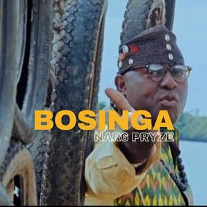 BOSINGA