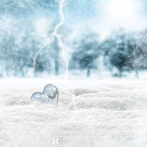 “我的心就像上海下了雪”