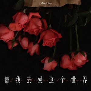 替我去爱这个世界