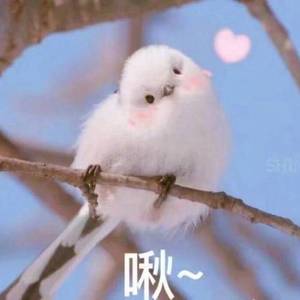 2019.5.22.12：34freestyle（Prod. By Franco.D）