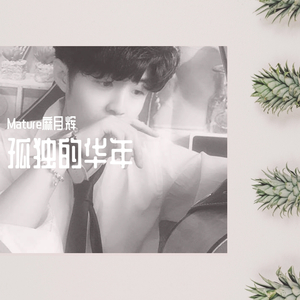 孤独的华年（伴奏）