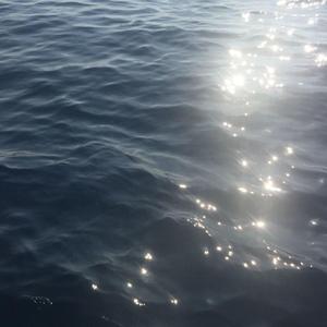 花粥-出山（7evens remix）