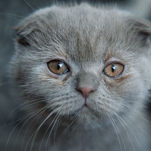 哪里都是你翻唱版