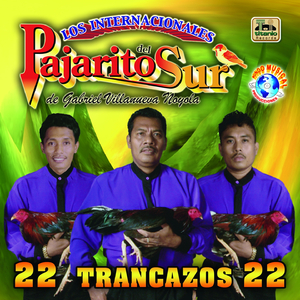 Caminos de Michoacan