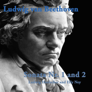 Sonata Nr. 1 for Violincello and Piano in F Major: II.