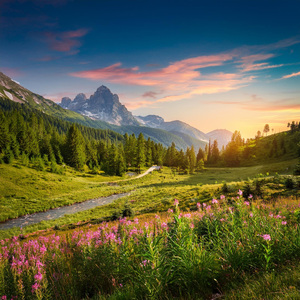 Momentos De Tranquilidad