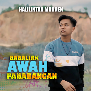 Baliak Awah Panabungan