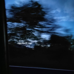 在十二月凌晨的等待