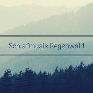 Wenn die Nacht Kommt