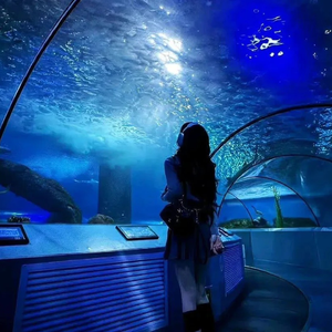 [FREE]''ghost lover''-河南说唱之神 x 刘思鉴 Type Beat