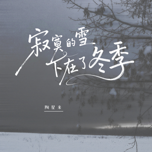 寂寞的雪下在了冬季
