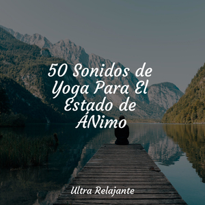 Divagando En Claridad