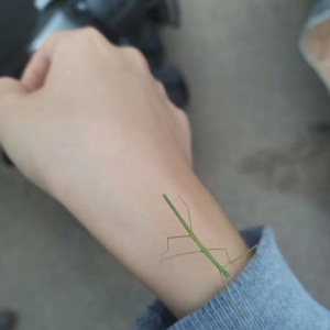 《D.》(Prod by Neonusic)