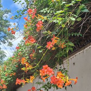 喧嚣夏日里迷失的心