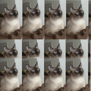 El