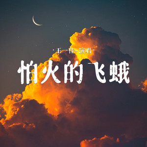 怕火的飞蛾 (DJ西米版)