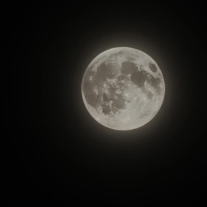 对错（prod.by Morrow x FAS）