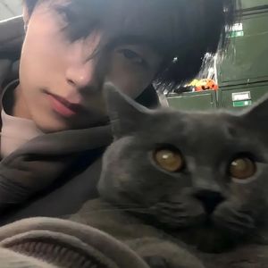 不能释怀的生活