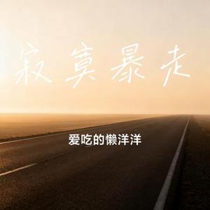 寂寞暴走 (爱吃的懒洋洋 Remix)
