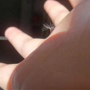 世界の終わりと最後の言葉 +3key （Cover Emi Evans）