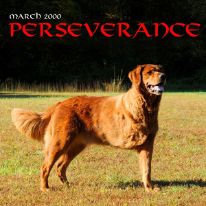 Perseverance