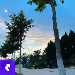 i remember but u forgot