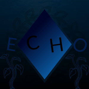 Echo