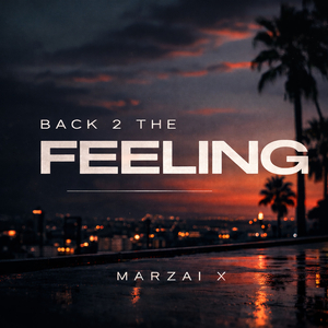 BACK 2 THE FEELING