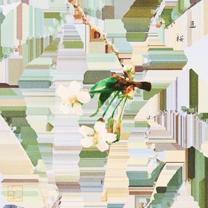 C.incisa (synfilums rework)