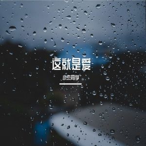 这就是爱(英文版)