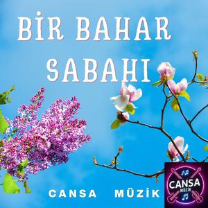 Bir Bahar Sabahı