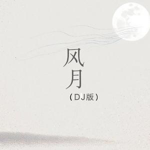 风月 (DJ版)