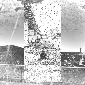 snow like stars (private)