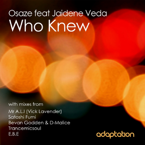 Who Knew (Satoshi Fumi Remix) [feat. Jaidene Veda]
