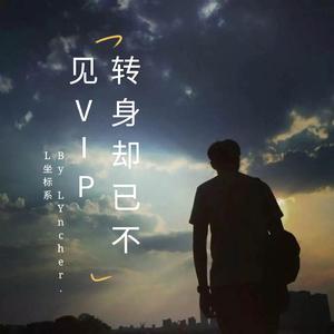 转身却已不见(VIP Mix)
