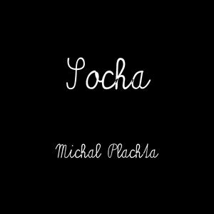 Socha