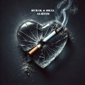 alıştım (feat. OKAL)