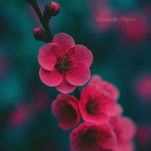 静寂の奥の空間