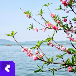 为何你要把心变 (现场)