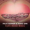 Felix Harrer - Flute House Music (Short Cut)