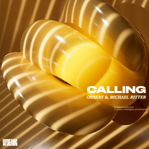Calling (JP Lantieri Remix)